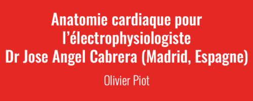 Newsletter Mai 2023 - Anatomie cardiaque pour l’électrophysiologiste Dr Jose Angel Cabrera (Madrid, Espagne)