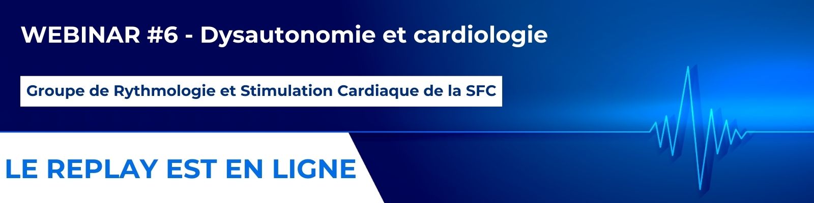 WEBINAR #6 - Dysautonomie et cardiologie (2)